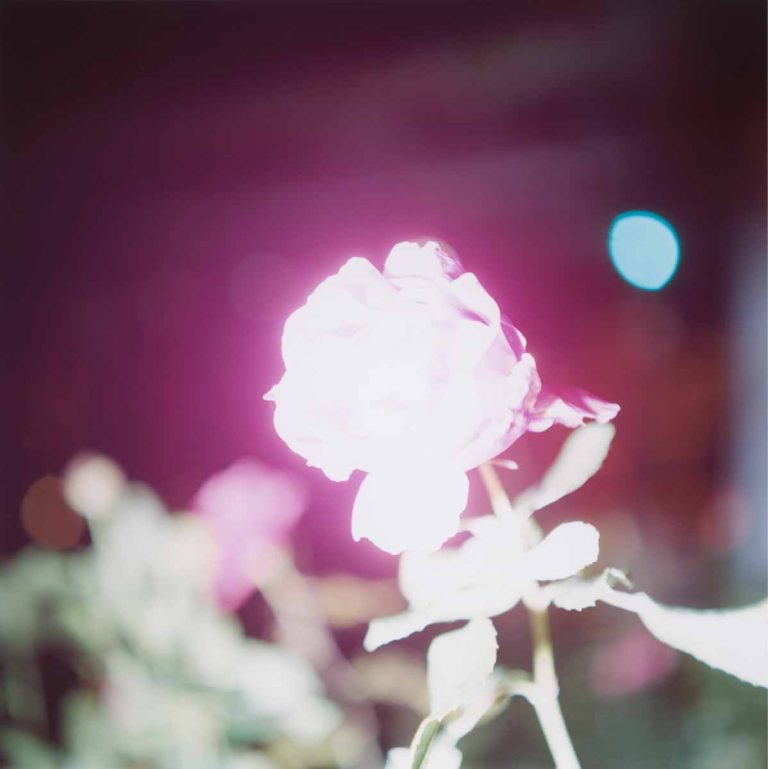 © Rinko Kawauchi